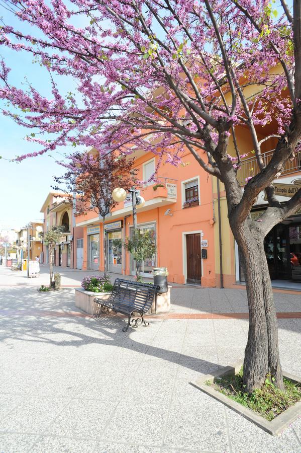 Il Leccio Bed & Breakfast Tortolì Dış mekan fotoğraf